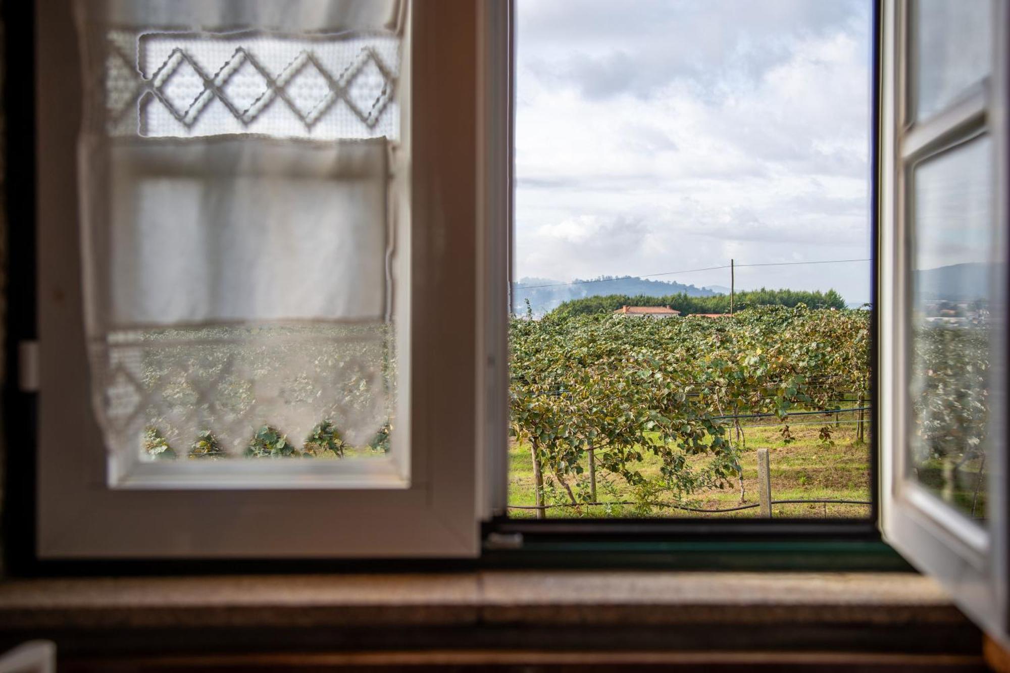 Quinta Do Carvalhal Alojamento, Penafiel Irivo Екстериор снимка